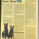 What You Should Know About Pets & The Diseases They Bring
