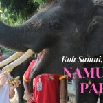 Travel: Koh Samui Thailand’s Namuang Park