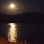 Moonlight By The Marina